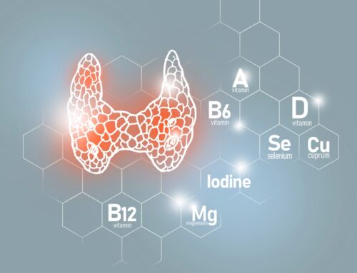 Thyroid Support Supplements