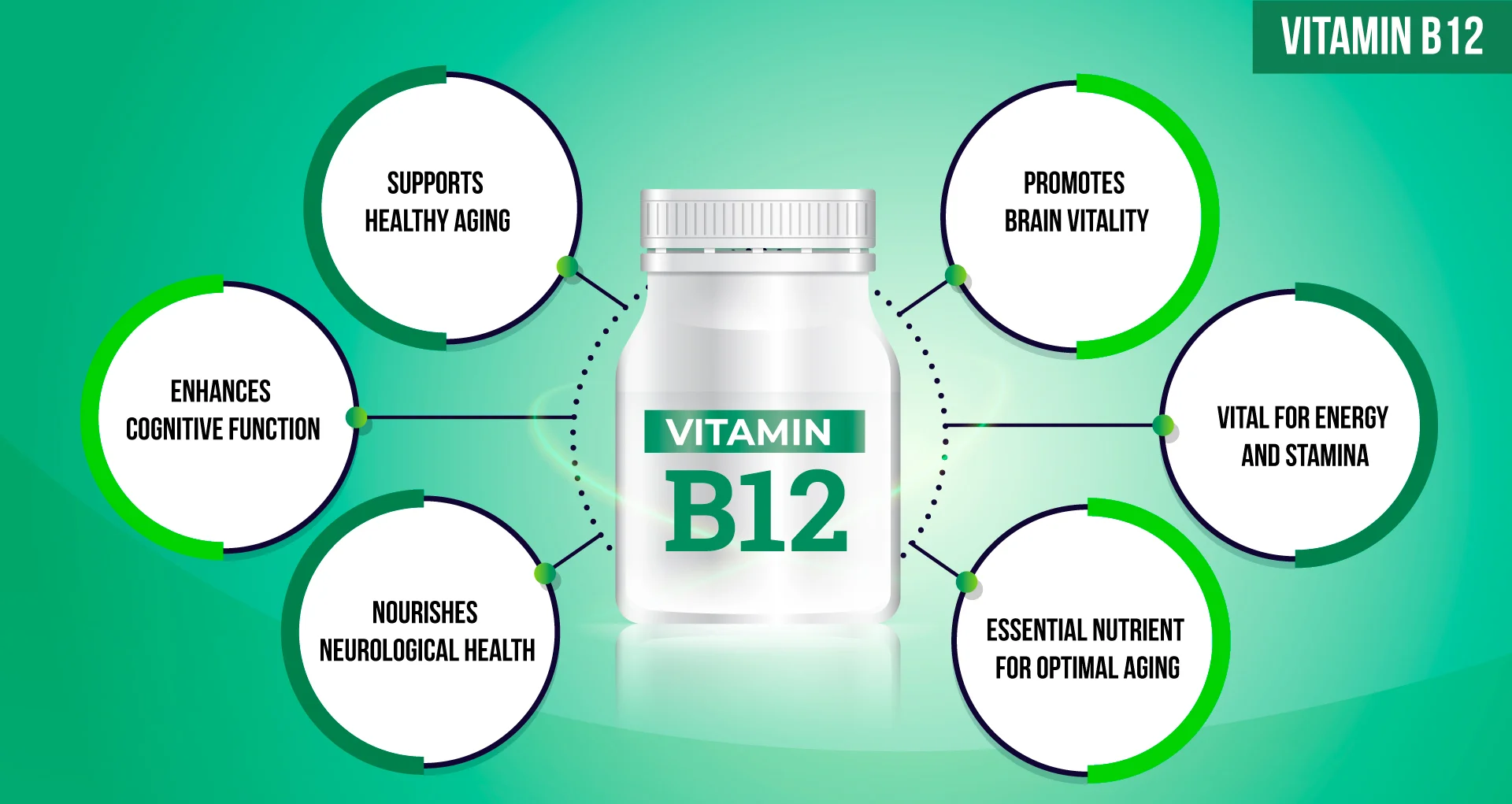 How Vitamin B12 Plays a Role in Healthy Aging and Cognitive Function: