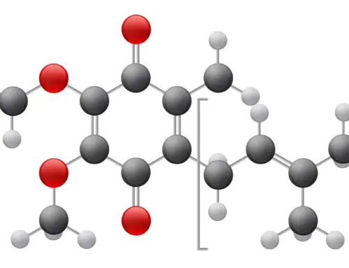 CoQ10 Supplement – What It’s All About