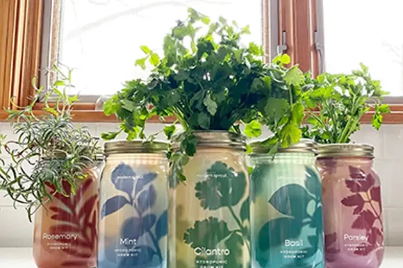 Garden Jars Organic Herbs