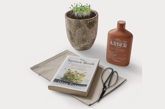 13. Eco Garden Sprout Gift Box